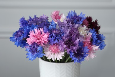 Bouquet of beautiful cornflowers in vase against white wall, closeup