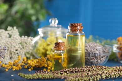 Bottles of essential oils and different herbs on blue table, closeup