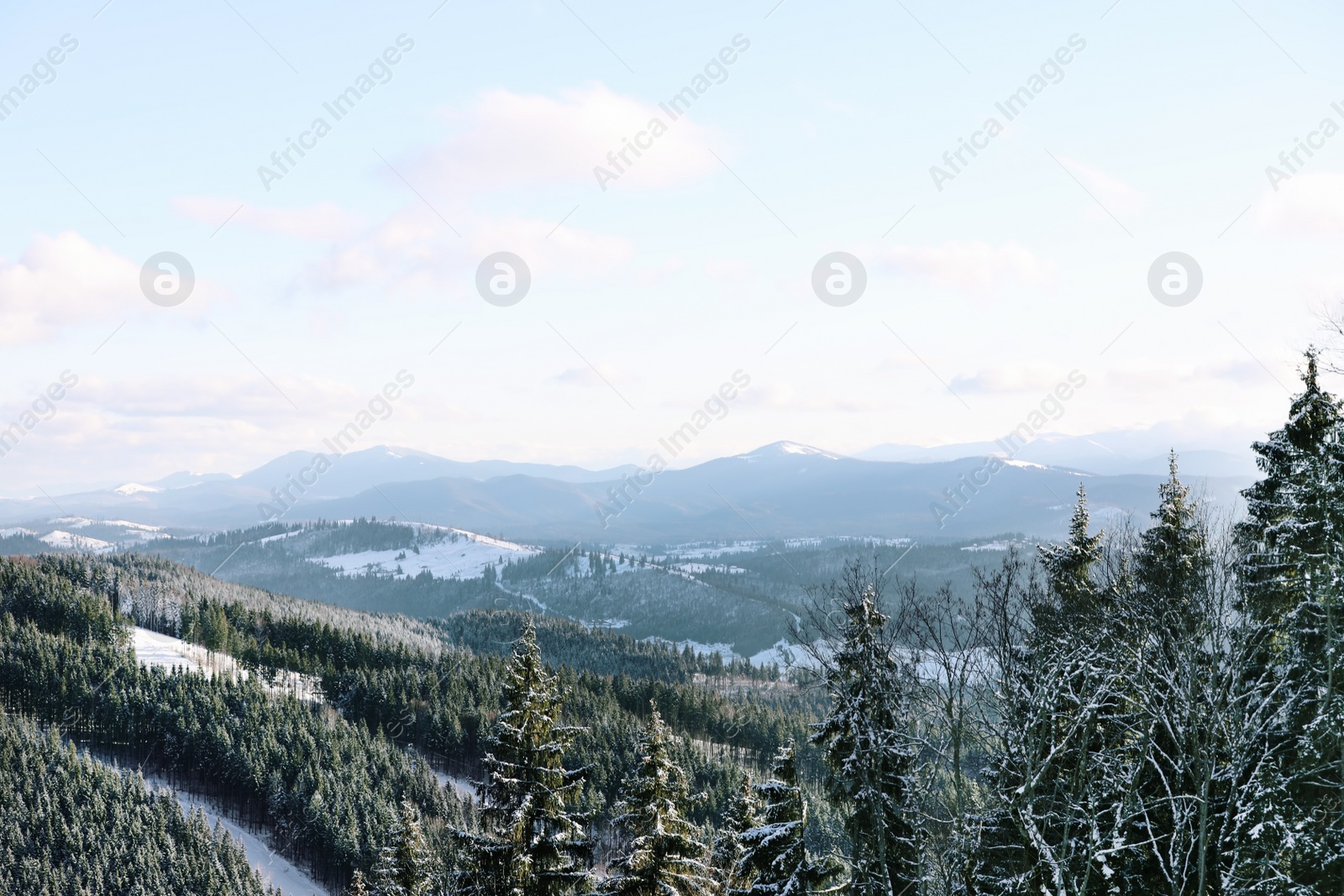 Photo of Beautiful mountain landscape with forest on sunny day in winter