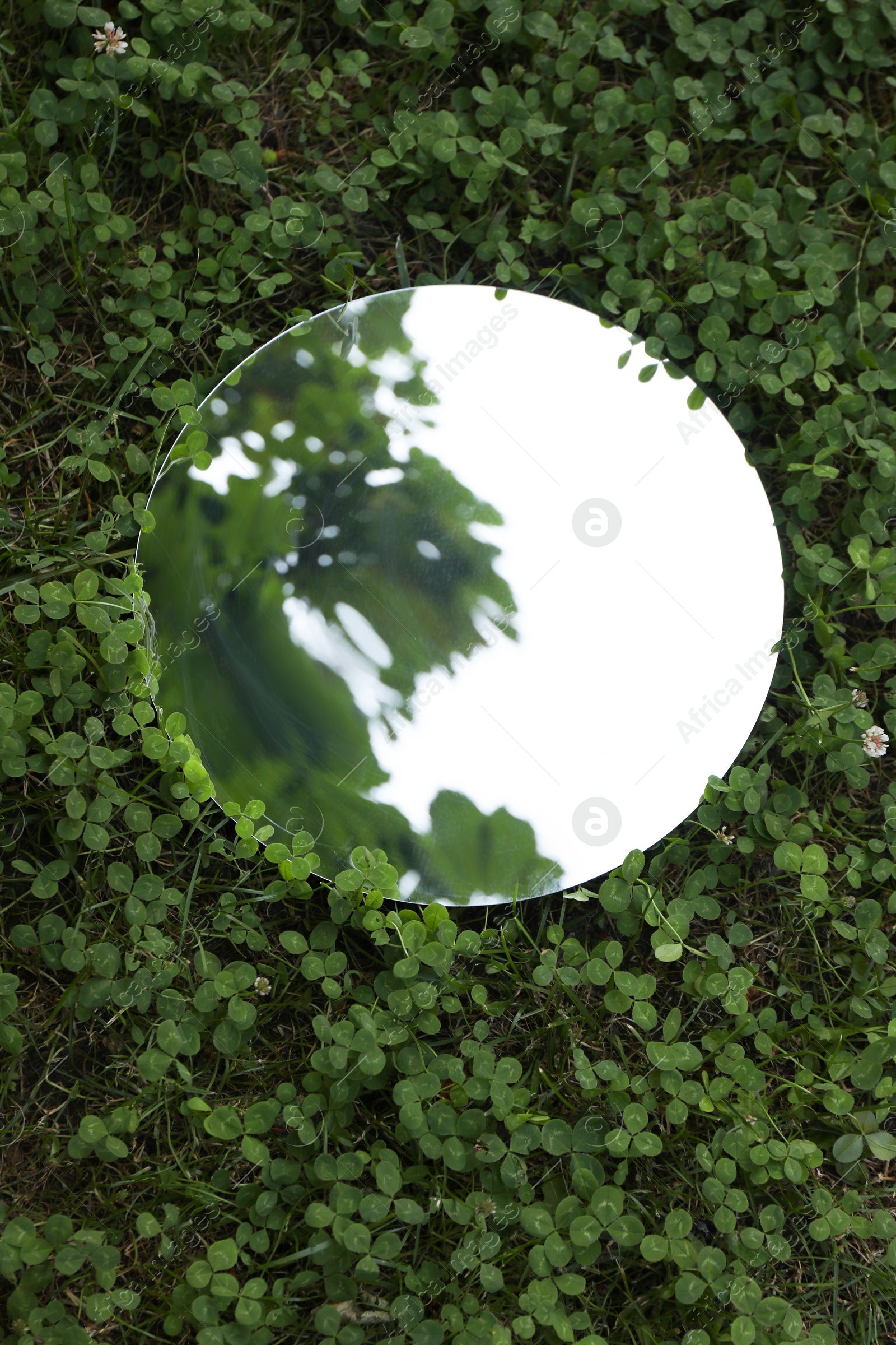Photo of Round mirror among clovers reflecting tree and sky, top view