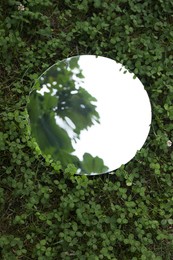 Photo of Round mirror among clovers reflecting tree and sky, top view