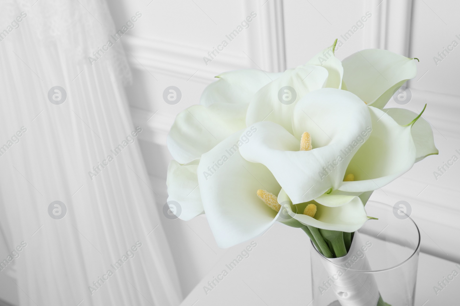 Photo of Beautiful calla lily flowers in glass vase near white wall, closeup. Space for text