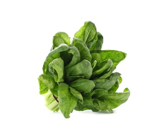 Photo of Bundle of fresh spinach isolated on white