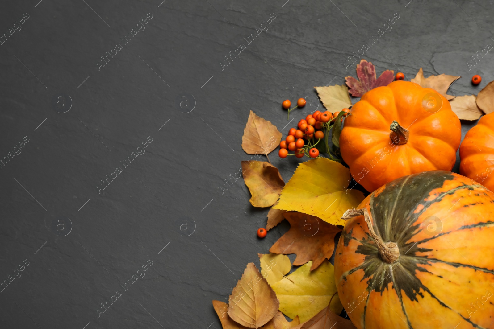 Photo of Flat lay composition with pumpkins and autumn leaves on black slate table. Space for text