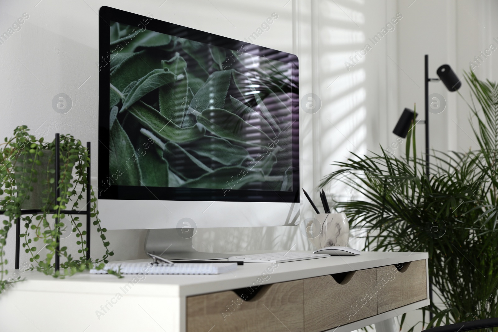 Photo of Comfortable workplace with modern computer and green plants in room. Interior design