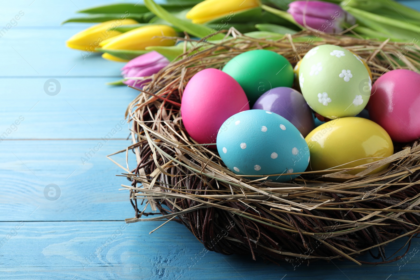 Photo of Colorful eggs in nest and tulips on blue wooden background, closeup. Happy Easter