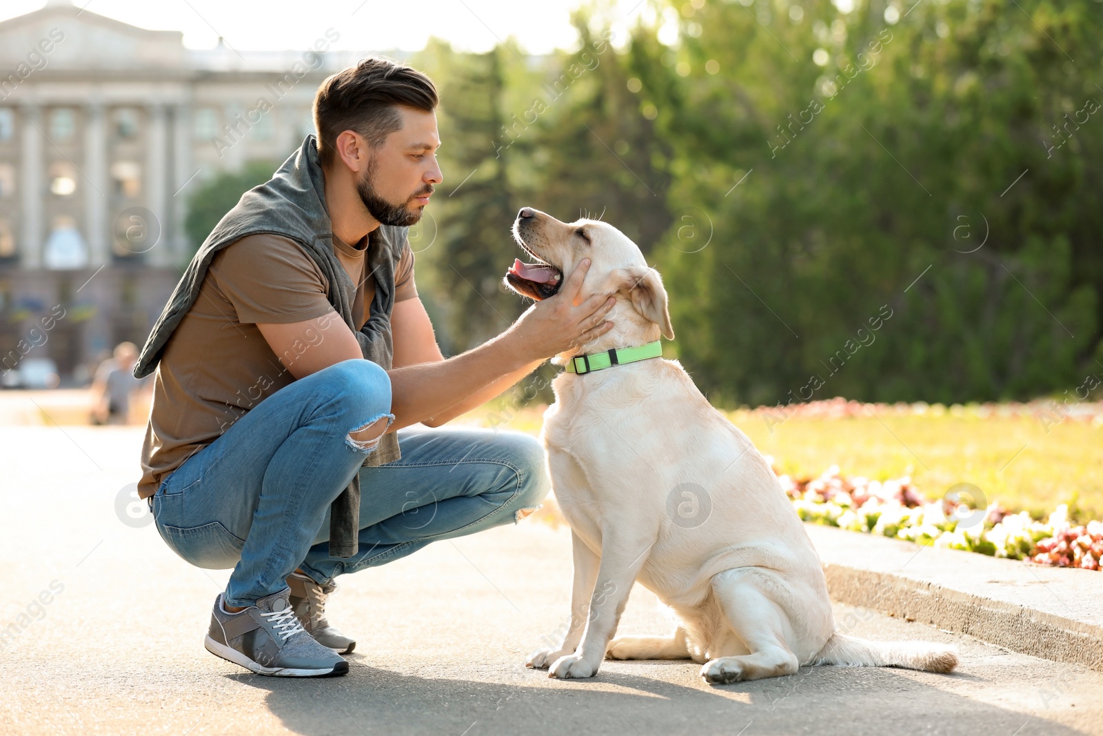 Photo of Cute yellow labrador retriever with owner outdoors