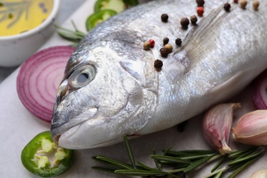 Fresh dorado fish and ingredients on white table, closeup