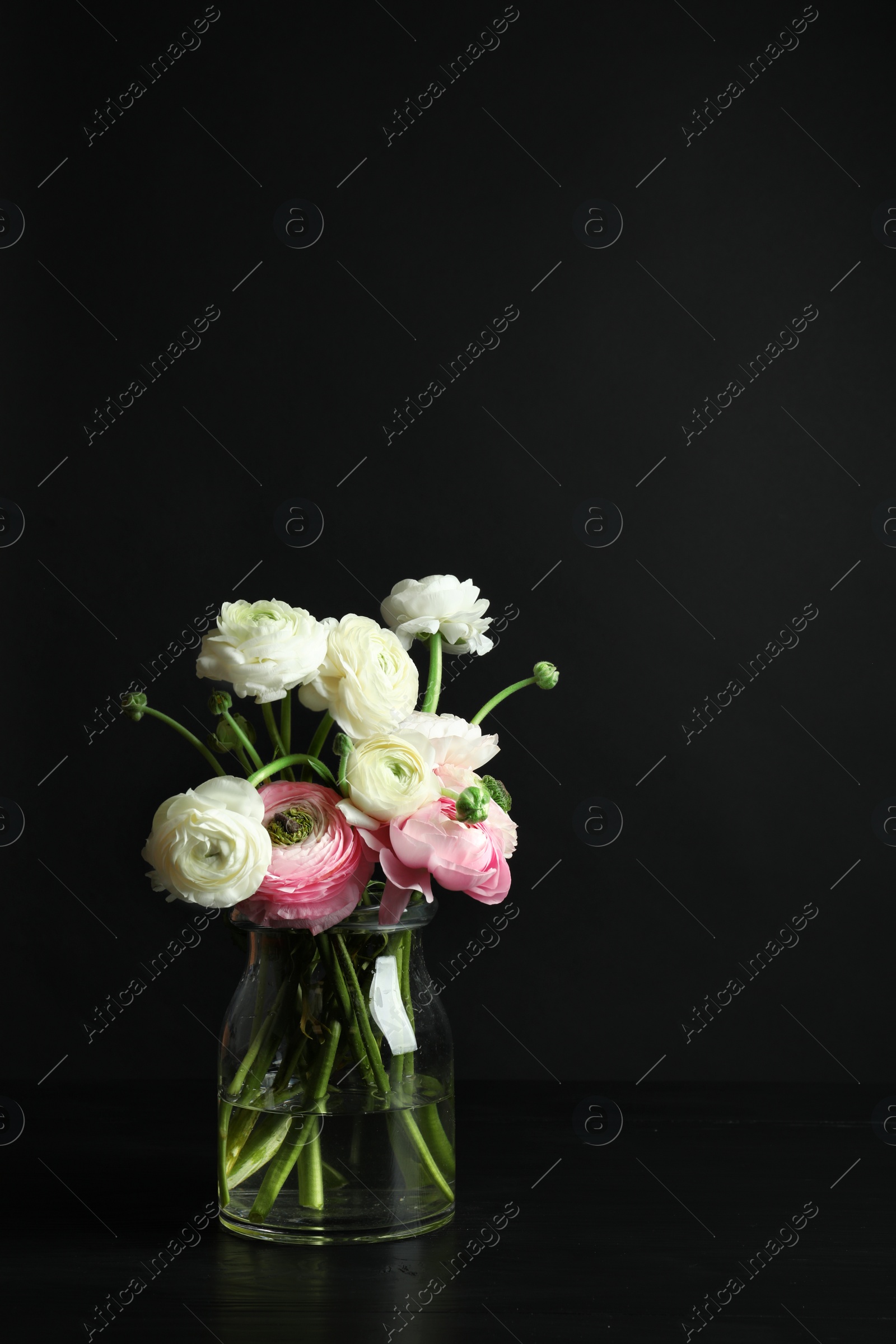 Photo of Glass vase with beautiful ranunculus flowers on black background