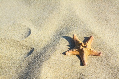 Photo of Beautiful starfish on sandy beach, space for text