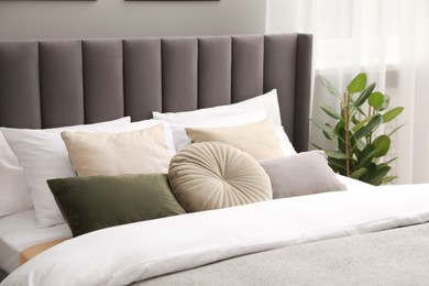 Photo of Comfortable bed with cushions and houseplant in room. Stylish interior