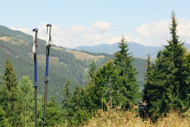 Photo of Trekking poles in mountains, space for text. Hiking accessory