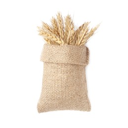 Photo of Sack with ears of wheat on white background, top view