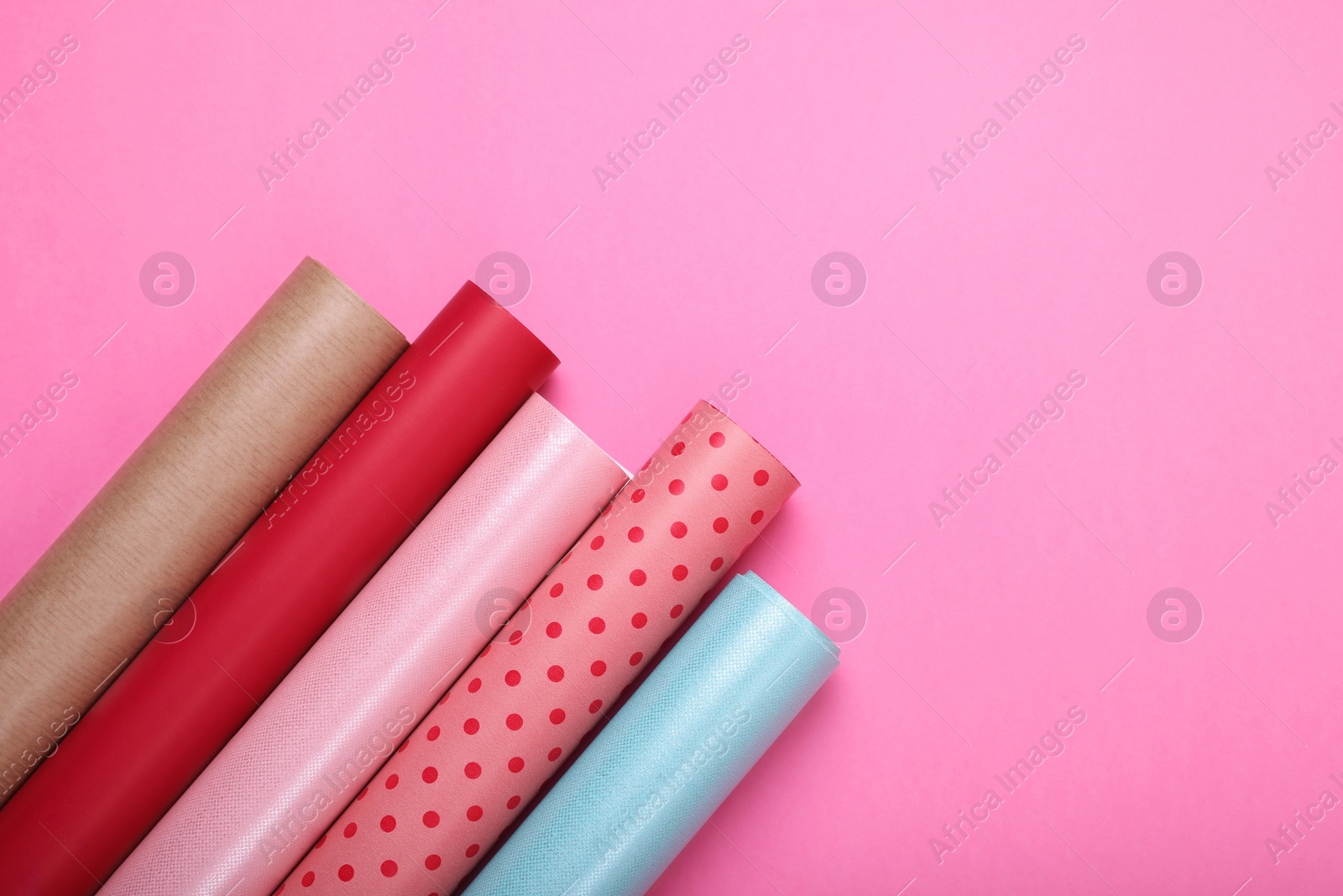 Photo of Rolls of colorful wrapping paper on pink background, flat lay. Space for text