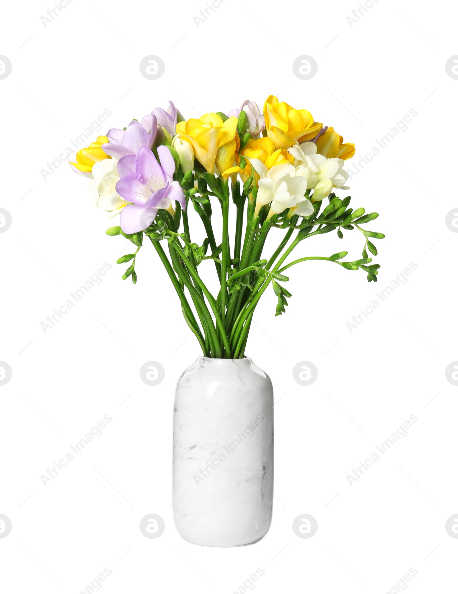 Photo of Bouquet of fresh freesia flowers in vase isolated on white