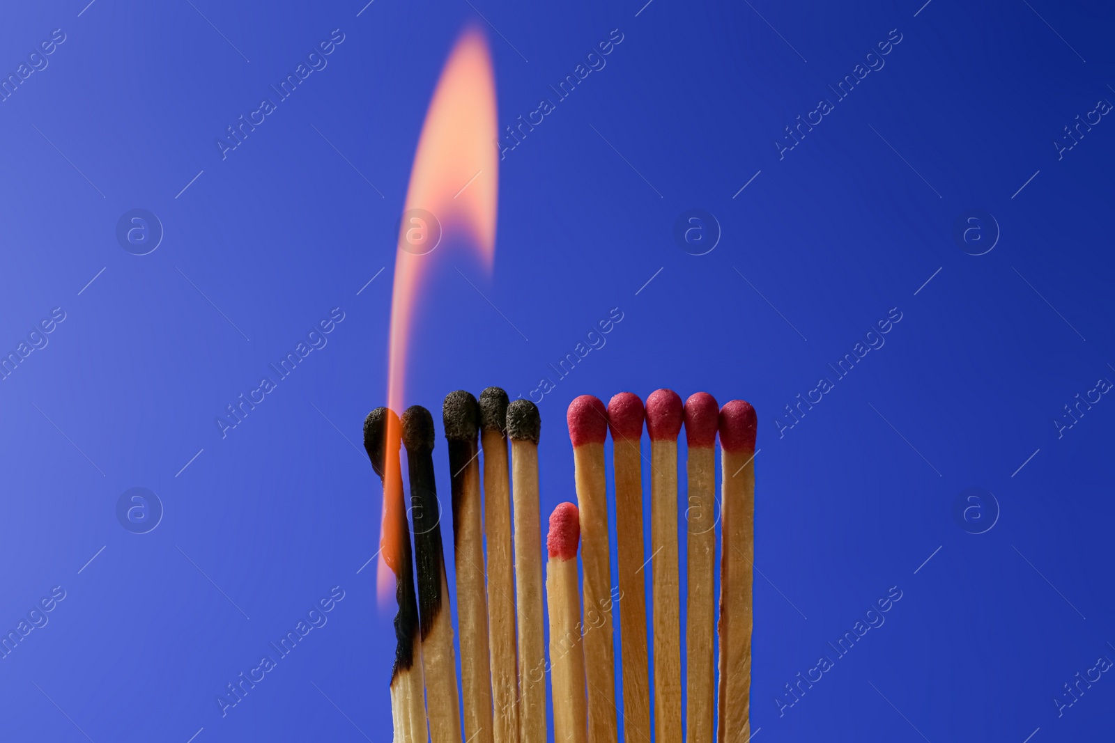 Photo of Burning and whole matches on blue background. Stop destruction concept