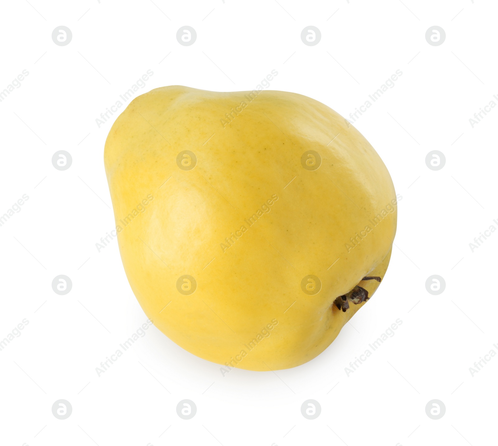 Photo of Delicious fresh ripe quince isolated on white