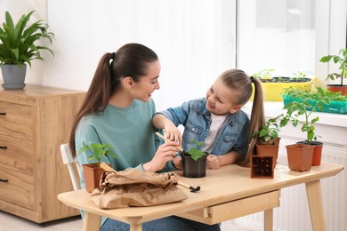 Mother and daughter planting seedling into pot together at wooden table in room