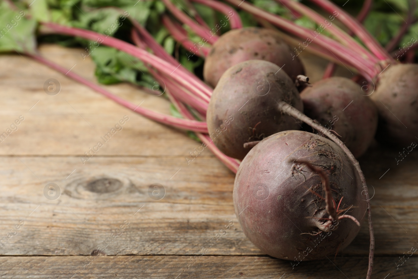 Photo of Raw ripe beets on wooden table. Space for text