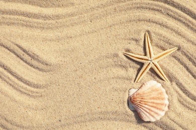 Photo of Starfish and seashell on beach sand with wave pattern, top view. Space for text