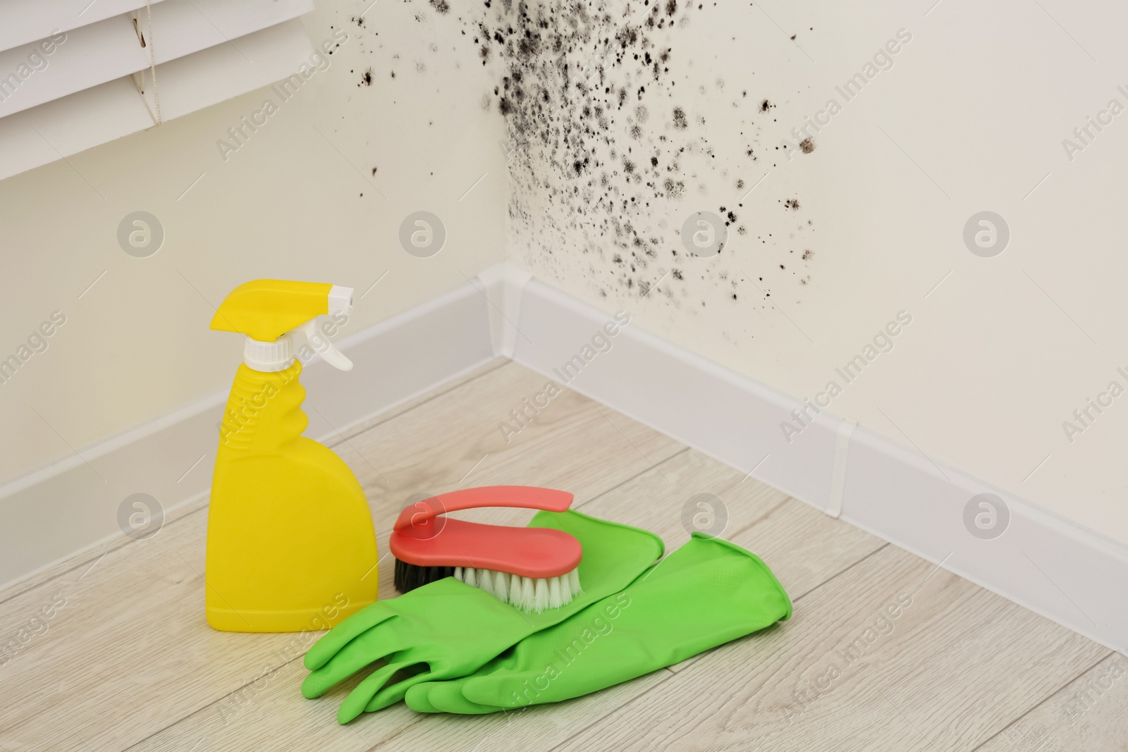 Image of Mold remover spray bottle, rubber gloves and brush on floor near affected walls in room