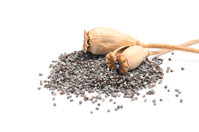 Photo of Dry poppy heads with seeds on white background