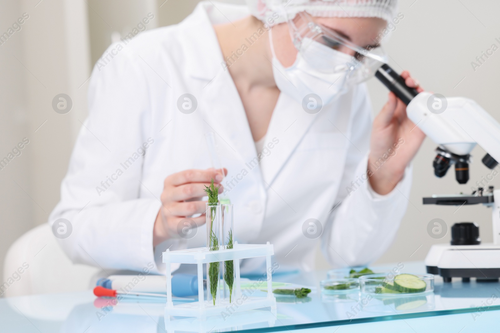 Photo of Quality control. Food inspector checking safety of products in laboratory, focus on test tubes with dill