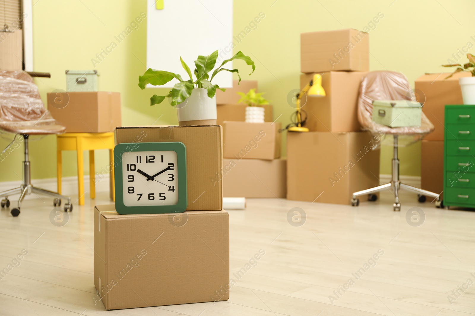 Photo of Clock and plant on cardboard boxes in new office, space for text. Moving day