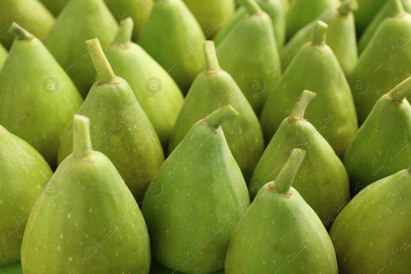 Photo of Many fresh green figs as background, closeup