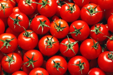 Photo of Delicious ripe cherry tomatoes as background, top view