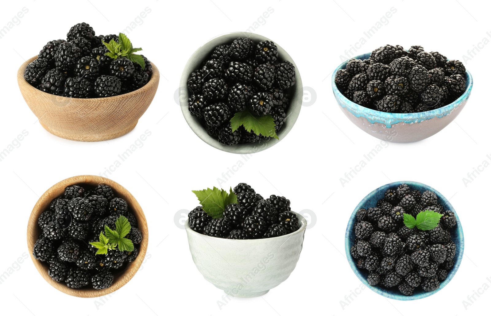 Set with delicious ripe blackberries on white background Image of Set with delicious ripe blackberries on white background