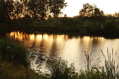 Picturesque view of countryside with river in morning