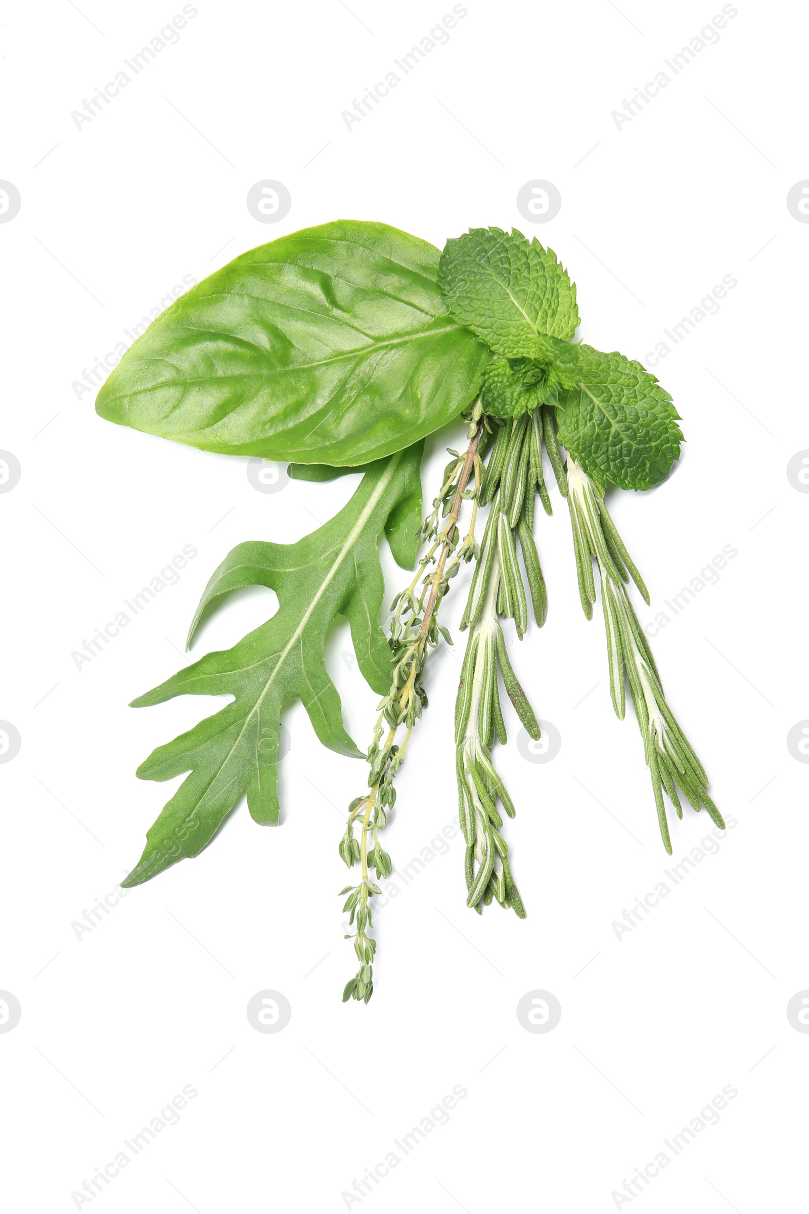 Photo of Composition with rosemary and other herbs on white background, top view