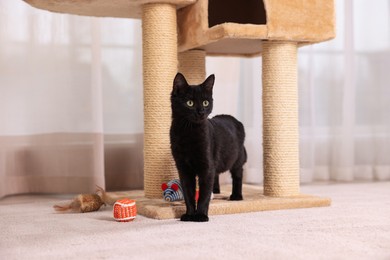Photo of Adorable black cat with beautiful eyes near scratcher at home