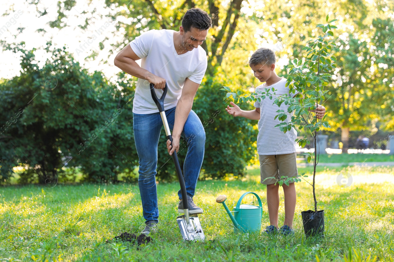 Photo of Dad and son planting tree in park on sunny day