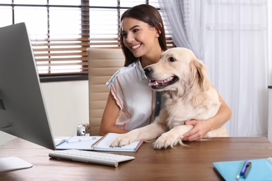 Young woman working at home office and stroking her Golden Retriever dog