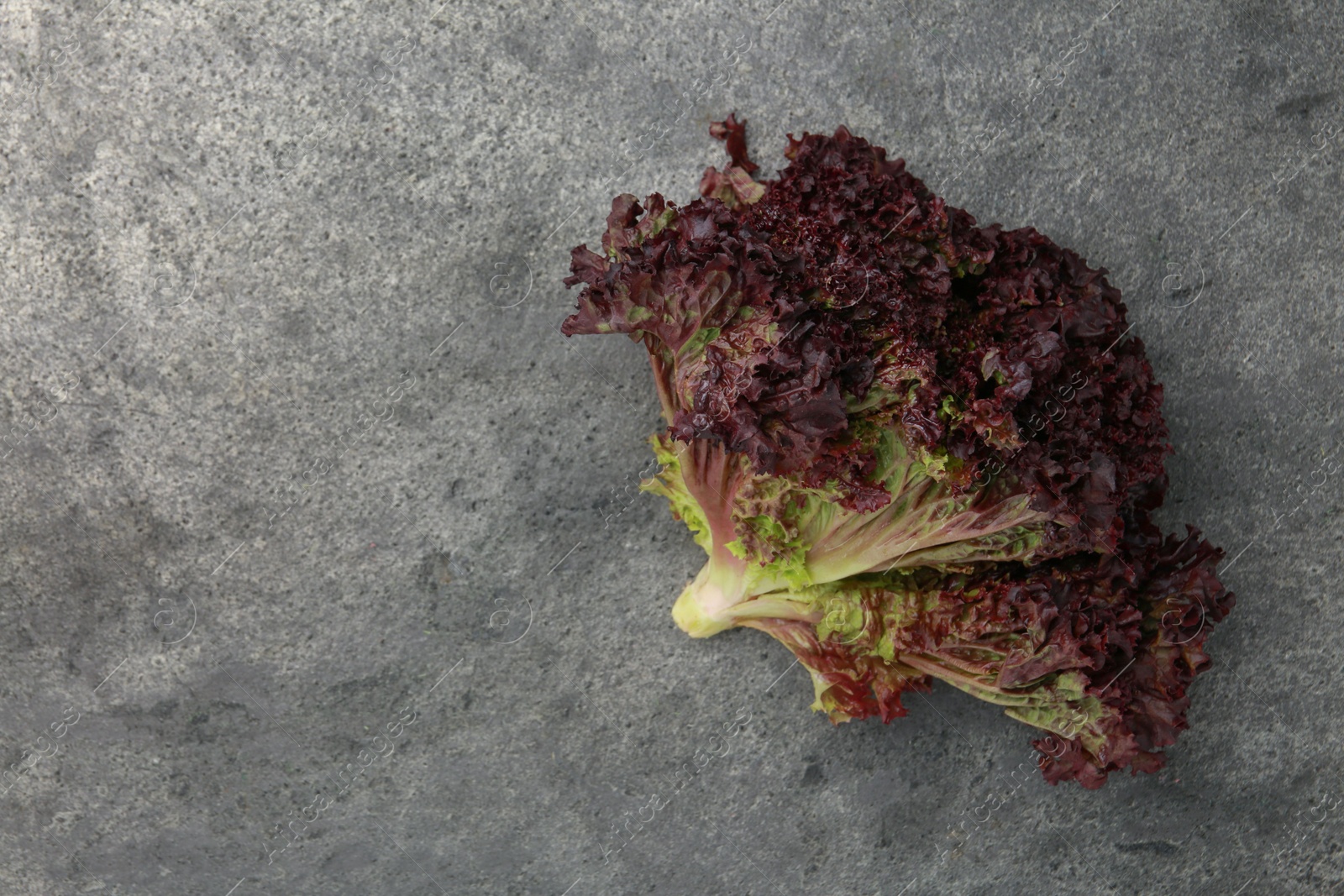 Photo of Head of fresh red coral lettuce on grey table, top view. Space for text