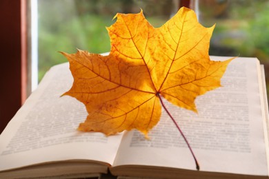 Photo of Book with autumn leaf as bookmark, closeup