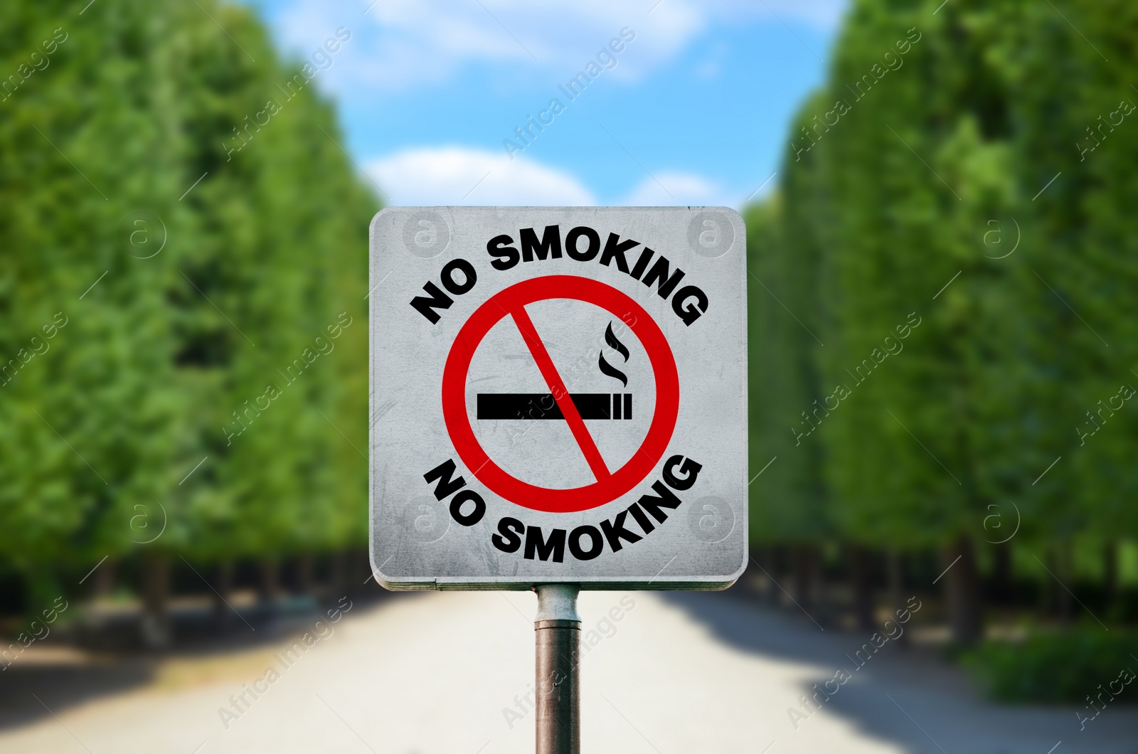 Image of Sign No Smoking in park on sunny day