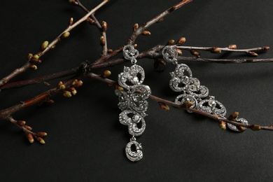 Photo of Branches with beautiful earrings on black background. Luxury jewelry