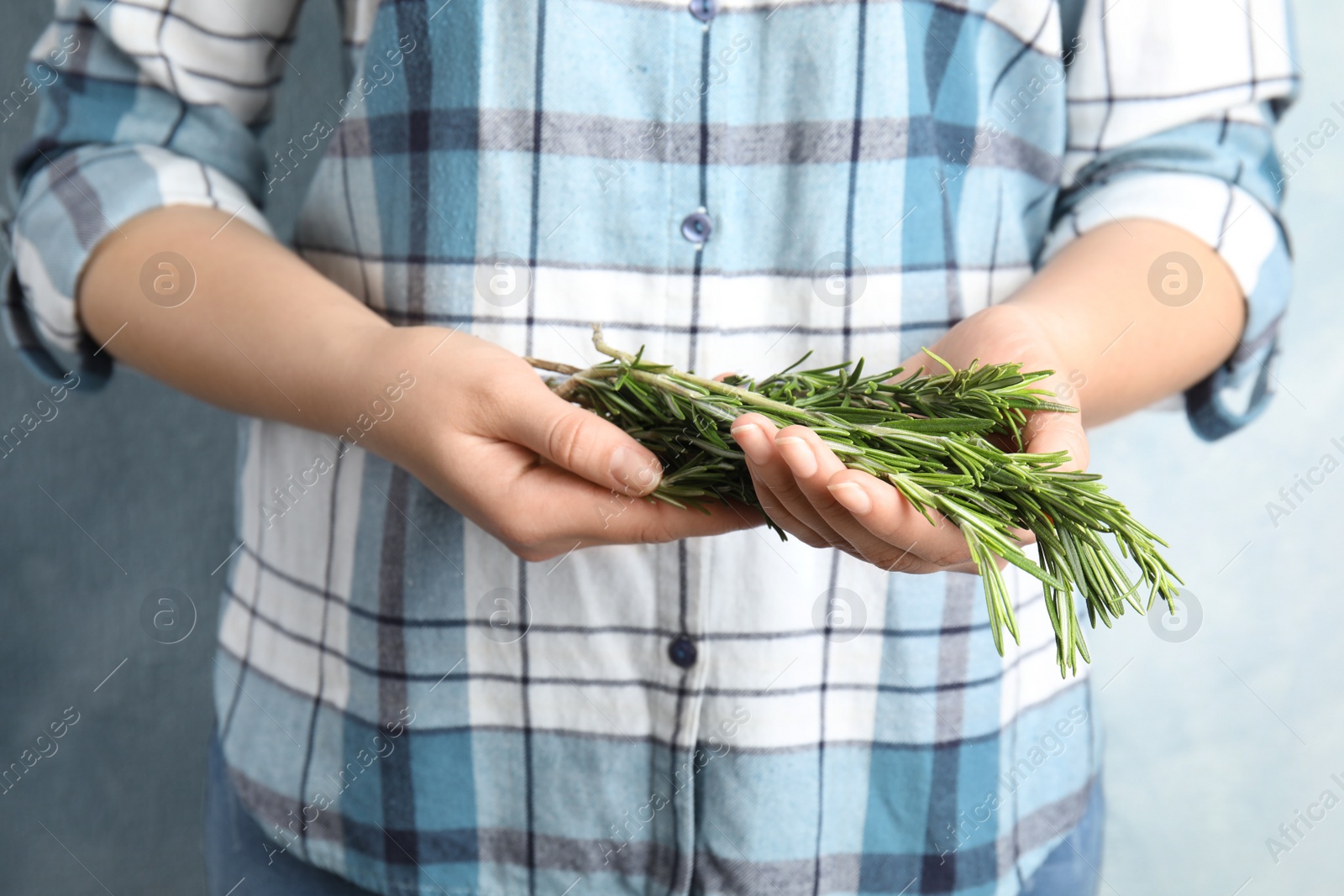 Photo of Young woman holding bunch of fresh rosemary, closeup