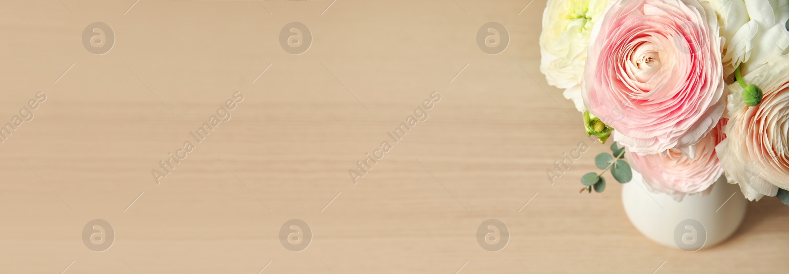 Image of Beautiful ranunculus flowers in vase on wooden table, space for text. Banner design