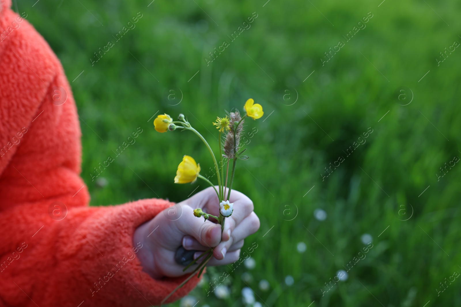 Photo of Girl with beautiful wild flower outdoors, closeup. Space for text