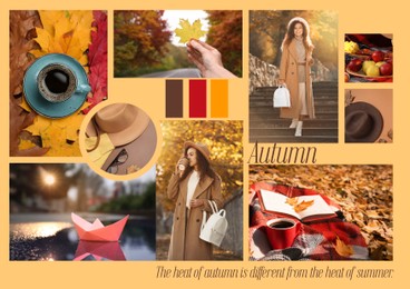 Image of Inspiring mood board. Collage with beautiful and aesthetic photos