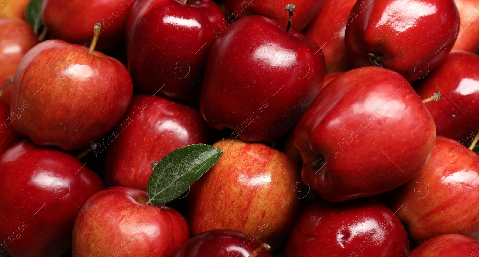 Photo of Fresh ripe red apples with leaves as background, closeup