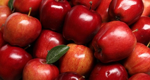 Photo of Fresh ripe red apples with leaves as background, closeup