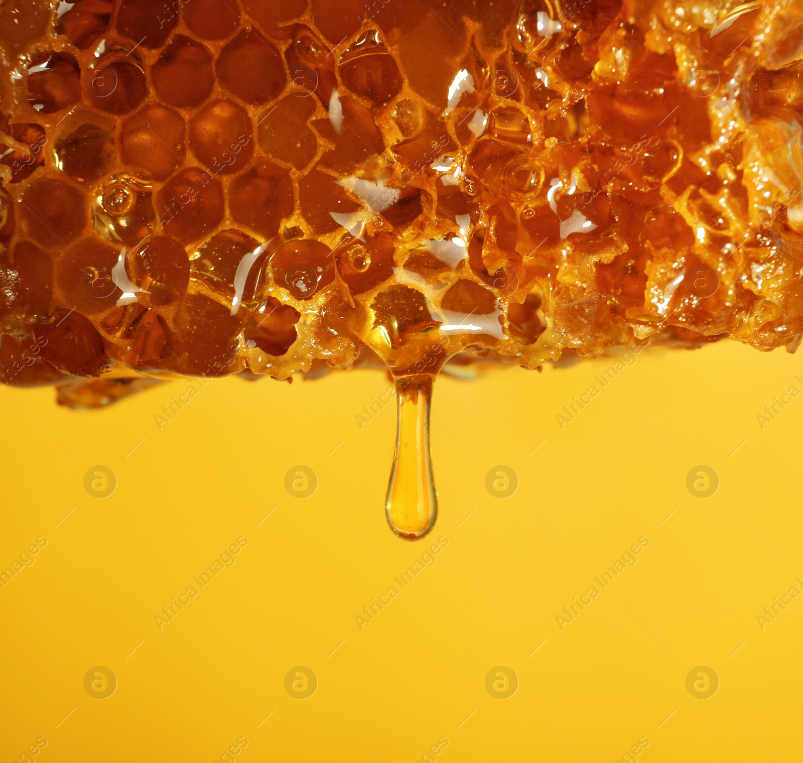 Photo of Honey dripping from comb on color background, closeup. Space for text