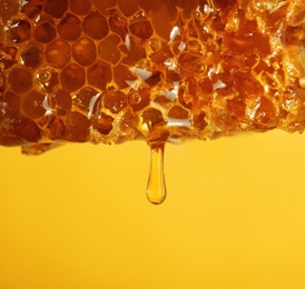 Honey dripping from comb on color background, closeup. Space for text