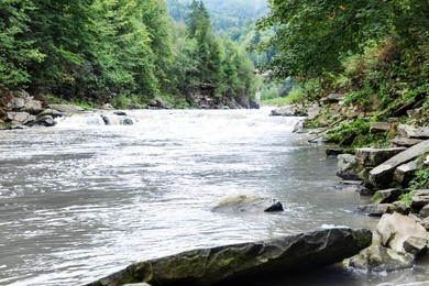 Wild mountain river flowing along rocky banks in forest