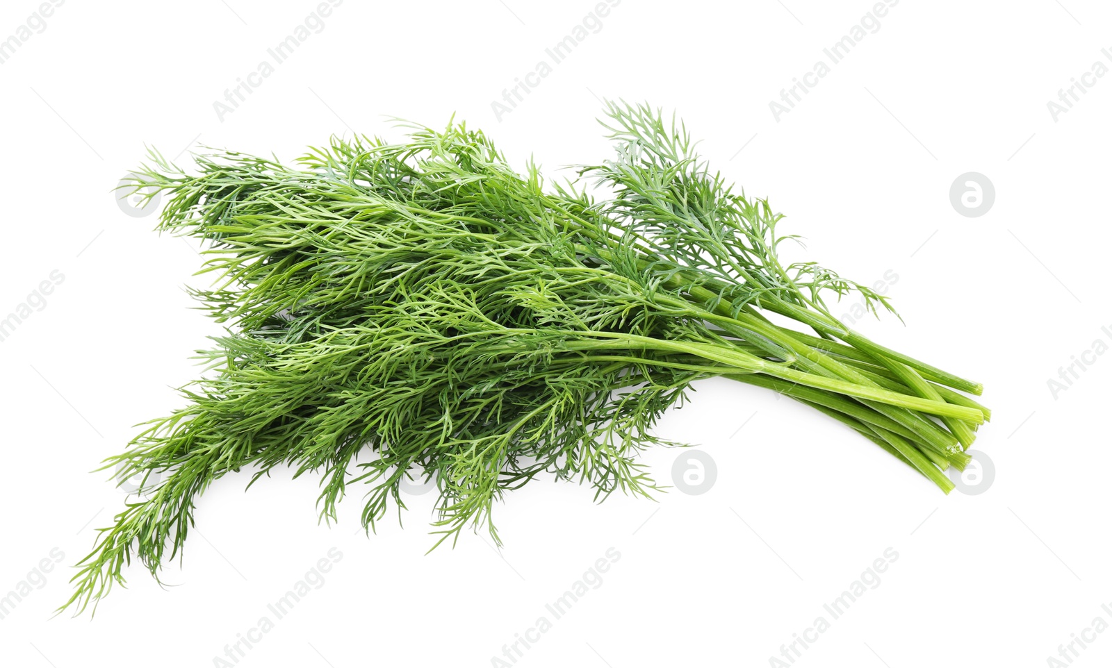 Photo of Fresh green dill branches isolated on white, above view